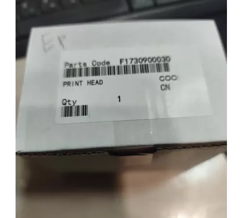 F173090/F173080/F173000 Печатающая головка Epson Stylus Photo R270/R390 О) в Екатеринбурге.